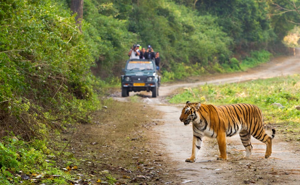 Jim Corbett Taxi Service